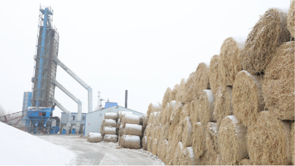 煤炭價格高，烘糧利潤低，吉林大安市500噸糧食烘干塔改用秸稈大包直燃鍋爐，每天省3萬