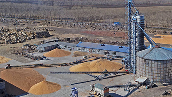 糧食烘干合作社如何做到年節(jié)省90萬元？利民萬佳鍋爐為您解析